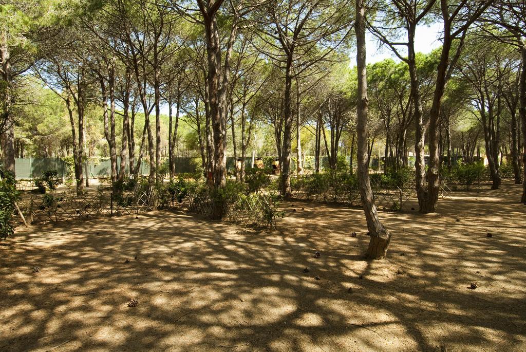 Villaggio Camping Spiaggia Del Riso Вилласимиус Экстерьер фото